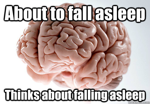 About to fall asleep Thinks about falling asleep   Scumbag Brain
