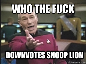 who the fuck Downvotes SNoop lion  Annoyed Picard