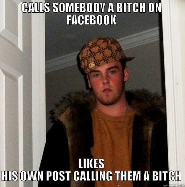 CALLS SOMEBODY A BITCH ON FACEBOOK LIKES HIS OWN POST CALLING THEM A BITCH Scumbag Steve
