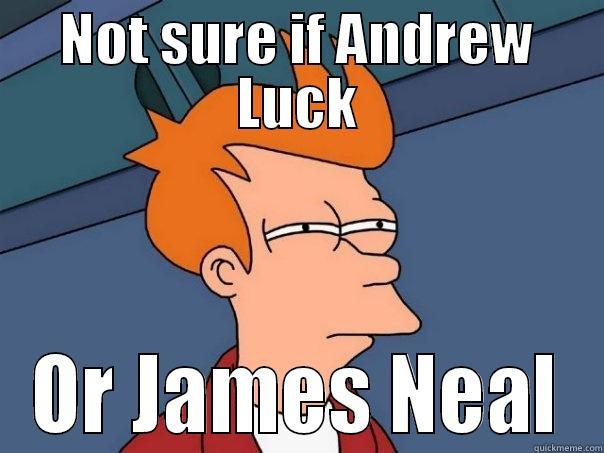 NOT SURE IF ANDREW LUCK OR JAMES NEAL Futurama Fry