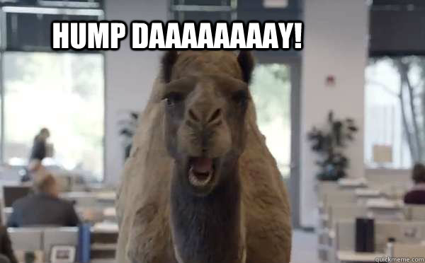 Hump Daaaaaaaay! - Hump Daaaaaaaay!  Misc