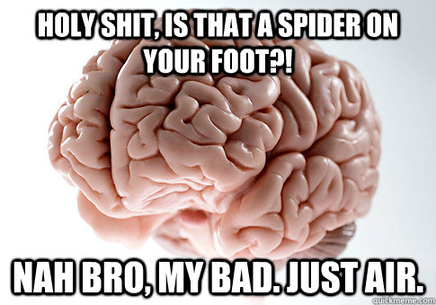 Holy shit, is that a spider on your foot?! Nah bro, my bad. just air.  Scumbag Brain