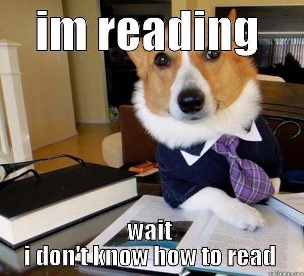 IM READING WAIT I DON'T KNOW HOW TO READ Lawyer Dog