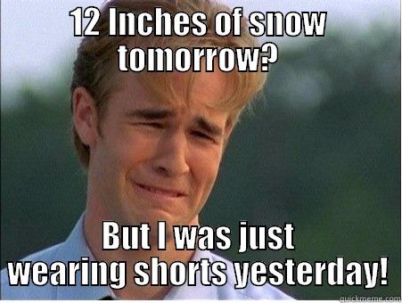 Weather in the Midwest - 12 INCHES OF SNOW TOMORROW? BUT I WAS JUST WEARING SHORTS YESTERDAY! 1990s Problems
