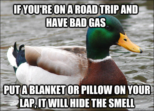If you're on a road trip and have bad gas Put a blanket or pillow on your lap, it will hide the smell  Actual Advice Mallard