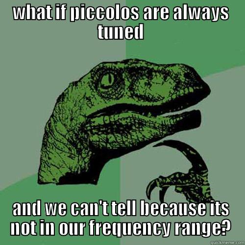 WHAT IF PICCOLOS ARE ALWAYS TUNED AND WE CAN'T TELL BECAUSE ITS NOT IN OUR FREQUENCY RANGE? Philosoraptor