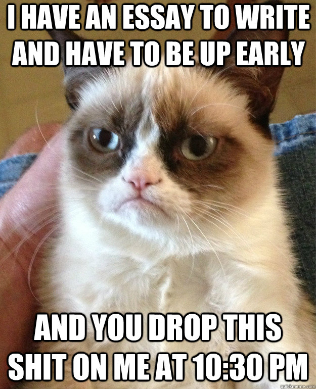 I have an essay to write and have to be up early and you drop this shit on me at 10:30 pm  Grumpy Cat