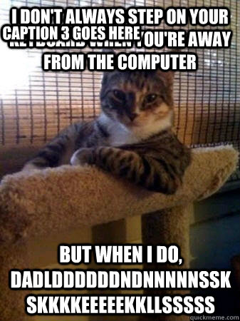 I don't always step on your keyboard when you're away from the computer but when i do, dadlddddddndnnnnnsskskkkkeeeeekkllsssss Caption 3 goes here  The Most Interesting Cat in the World