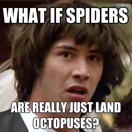 What if spiders Are really just land octopuses?  conspiracy keanu