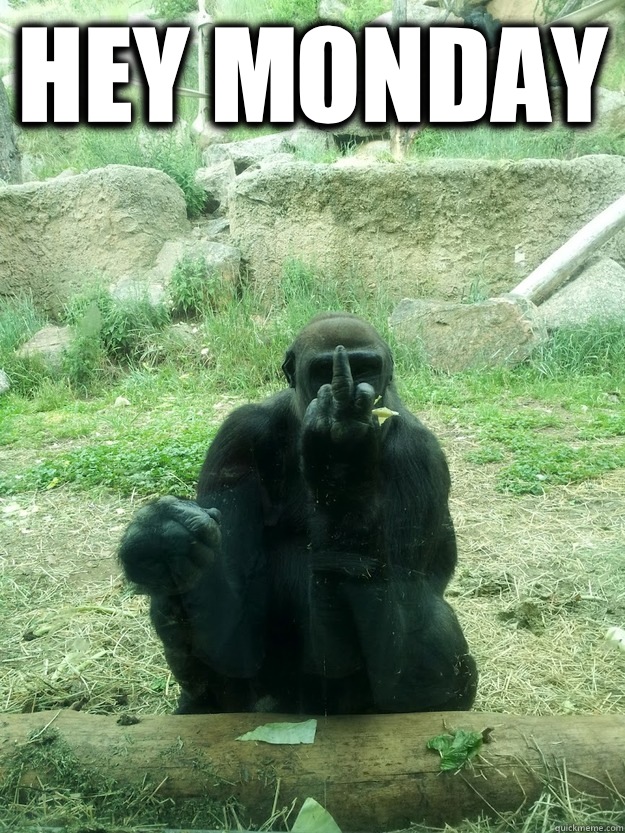 Hey Monday   