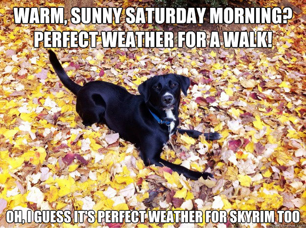 Warm, sunny saturday morning? perfect weather for a walk! Oh, I guess it's perfect weather for Skyrim too  Guilt Giving Good Dog