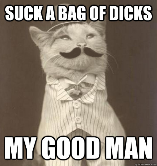 Suck a bag of dicks my good man  Original Business Cat