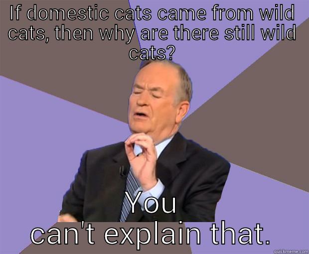 BillOReilly cats - IF DOMESTIC CATS CAME FROM WILD CATS, THEN WHY ARE THERE STILL WILD CATS? YOU CAN'T EXPLAIN THAT. Bill O Reilly