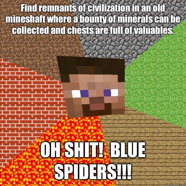 Find remnants of civilization in an old mineshaft where a bounty of minerals can be collected and chests are full of valuables. OH SHIT!  BLUE SPIDERS!!!  Minecraft
