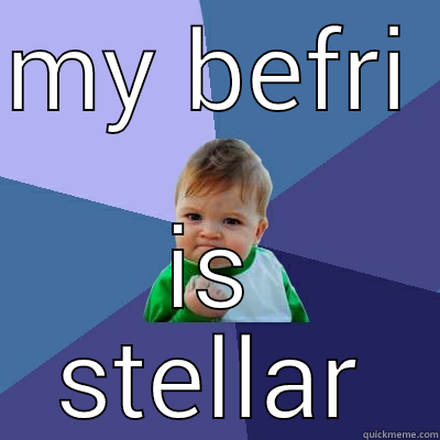 MY BEFRI IS STELLAR Success Kid