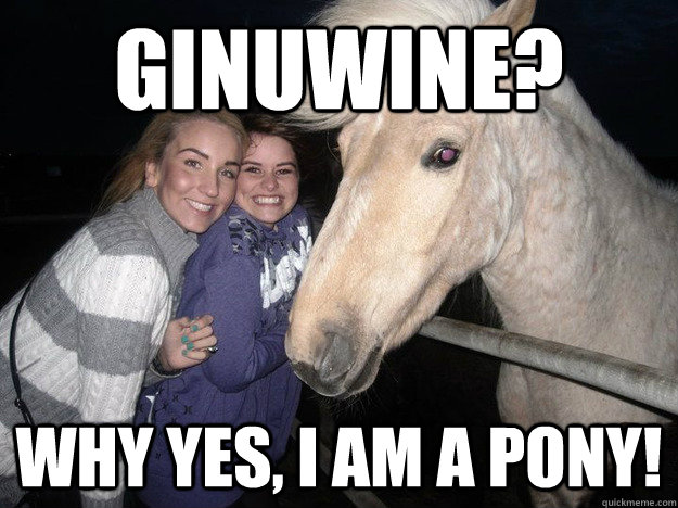 Ginuwine? Why yes, I am a pony!  Ridiculously Photogenic Horse
