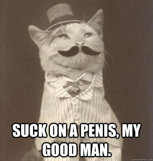  Suck on a penis, my good man. -  Suck on a penis, my good man.  Original Business Cat