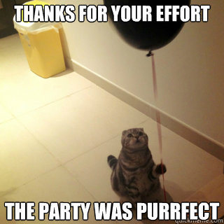 thanks for your effort the party was purrfect  Sad Birthday Cat