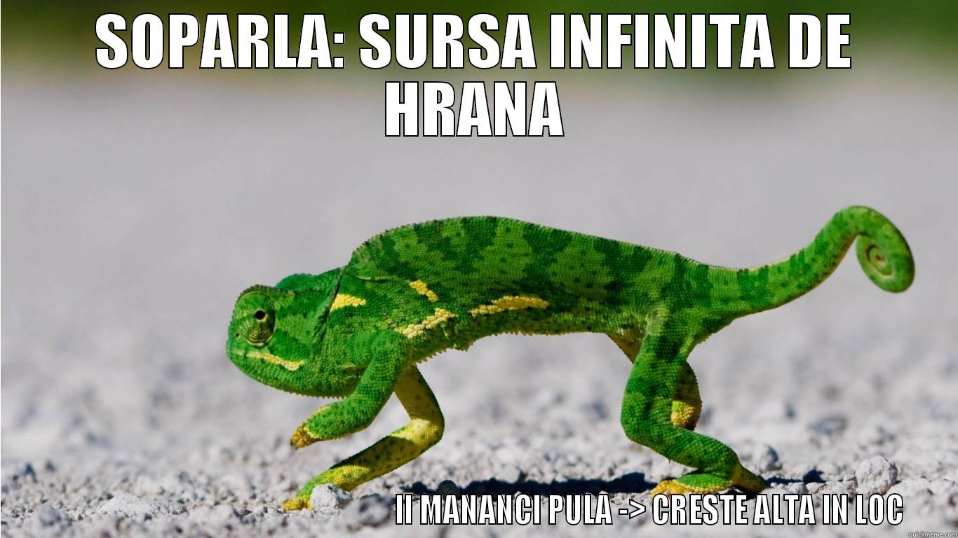 SOPARLA: SURSA INFINITA DE HRANA                                                              II MANANCI PULA -> CRESTE ALTA IN LOC Misc