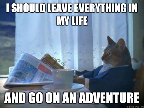 I should leave everything in my life and go on an adventure  morning realization newspaper cat meme