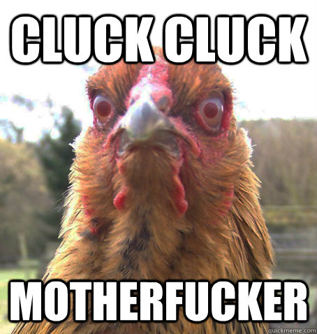 CLUCK CLUCK MOTHERFUCKER  