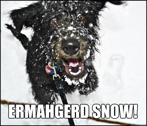 ERMAHGERD SNOW!  Overly Excited Dog