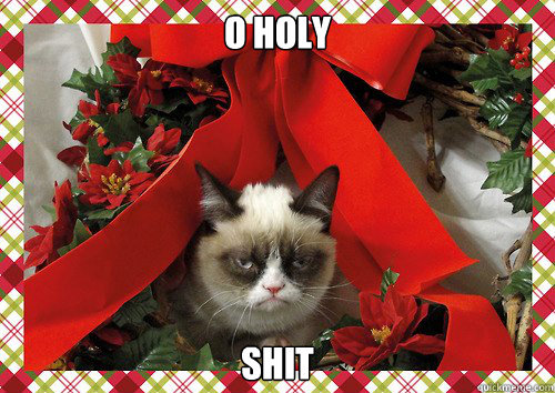 O holy shit - O holy shit  A Grumpy Cat Christmas