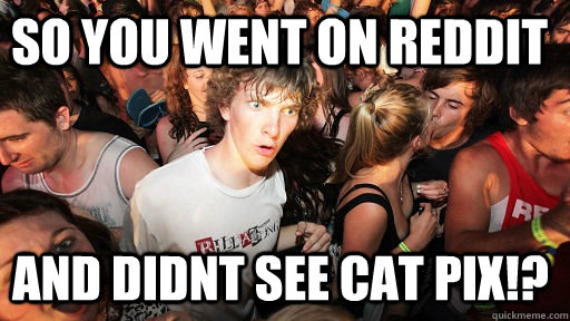 So you went on Reddit and DIDNT see cat pix!?  Sudden Clarity Clarence