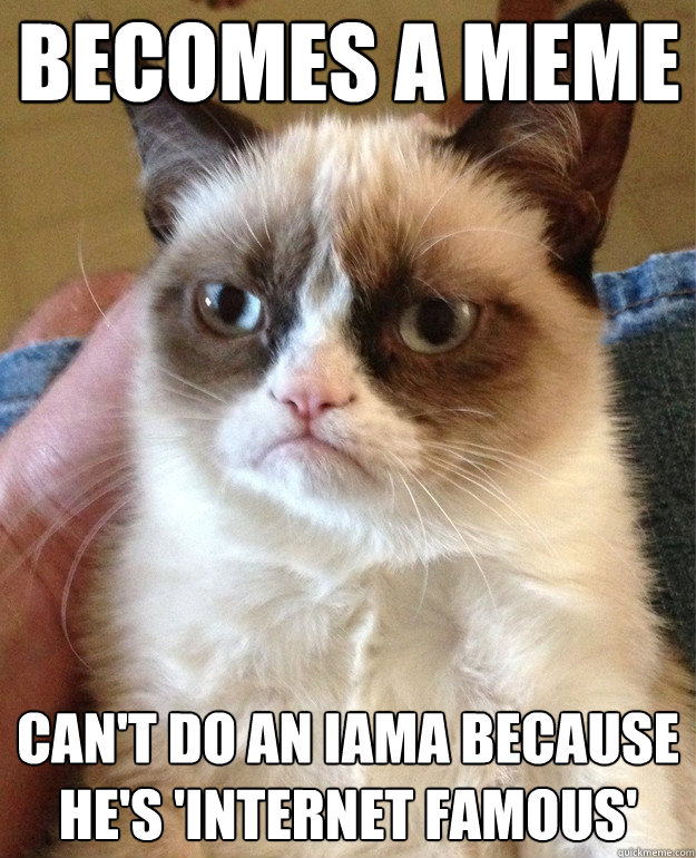 becomes a meme can't do an iama because he's 'internet famous' - becomes a meme can't do an iama because he's 'internet famous'  Grumpy Cat