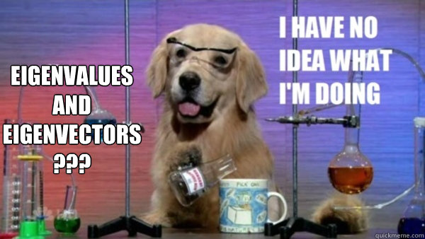 Eigenvalues 
and 
eigenvectors 
???  science dog