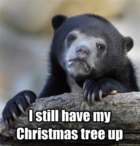  I still have my Christmas tree up -  I still have my Christmas tree up  Confession Bear