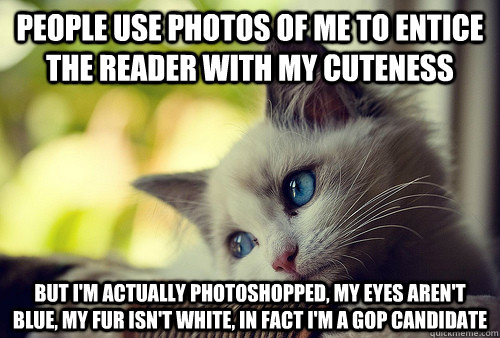 People use photos of me to entice the reader with my cuteness But I'm actually photoshopped, my eyes aren't blue, my fur isn't white, in fact I'm a GOP candidate  First World Problems Cat