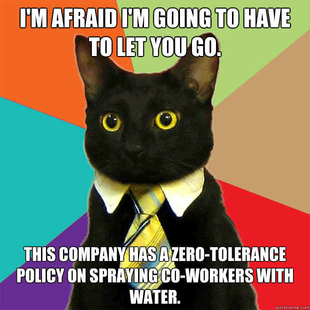 i'm afraid I'm going to have to let you go. this company has a zero-tolerance policy on spraying co-workers with water.  Business Cat