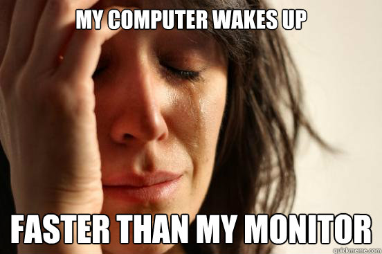 My computer wakes up faster than my monitor  First World Problems