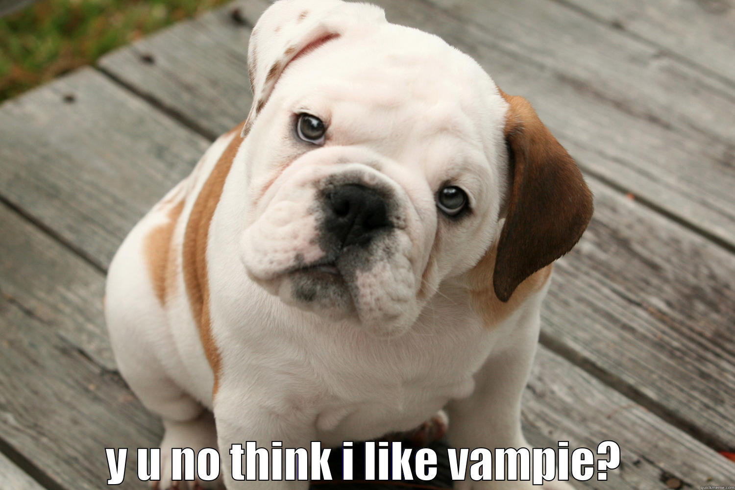 Y U NO THINK I LIKE VAMPIE? College Freshman