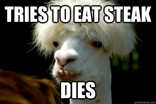 tries to eat steak dies  