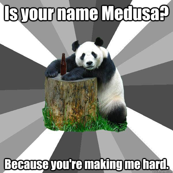 Is your name Medusa? Because you're making me hard.  Pickup-Line Panda