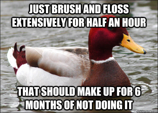 Just brush and floss extensively for half an hour that should make up for 6 months of not doing it  Malicious Advice Mallard