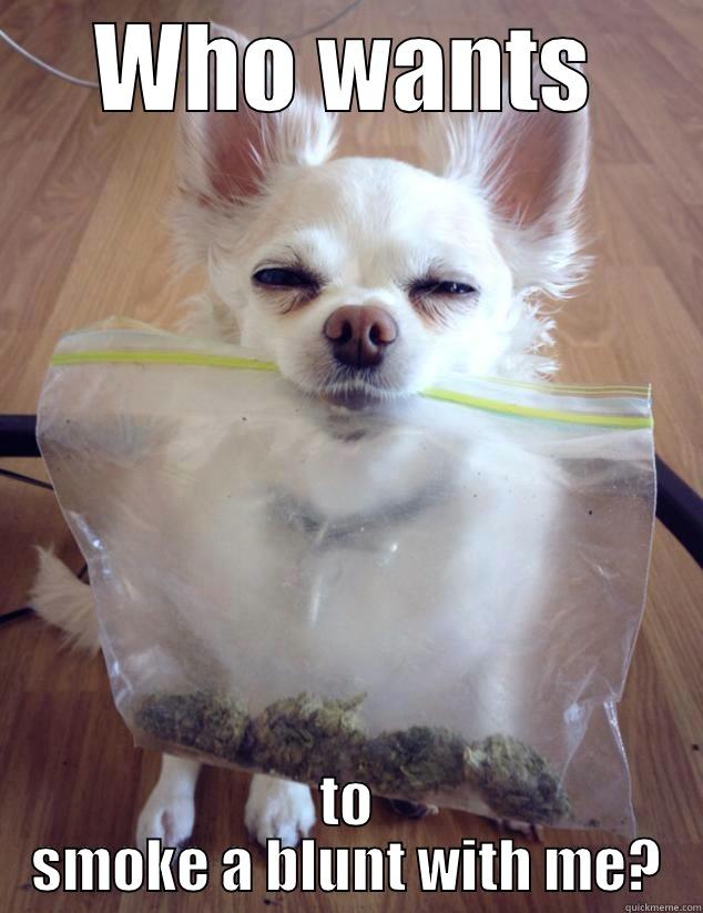 WHO WANTS TO SMOKE A BLUNT WITH ME? Misc