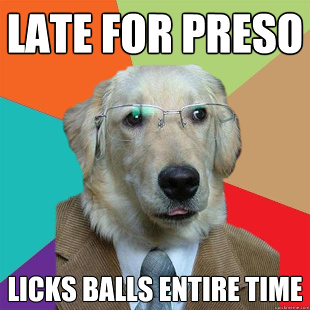 Late for preso licks balls entire time  Business Dog