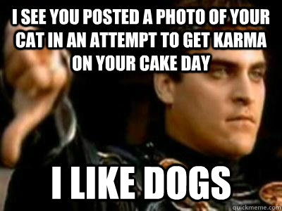 i see you posted a photo of your cat in an attempt to get karma on your cake day i like dogs  Downvoting Roman