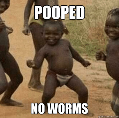 Pooped No worms  Third World Success Kid