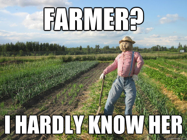 Farmer? I hardly know her  Scarecrow