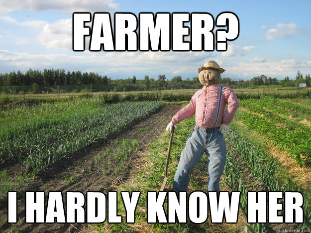 Farmer? I hardly know her  Scarecrow