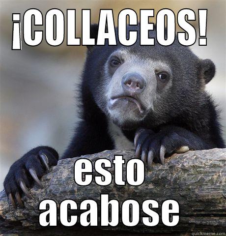 ¡COLLACEOS! ESTO ACABOSE Confession Bear