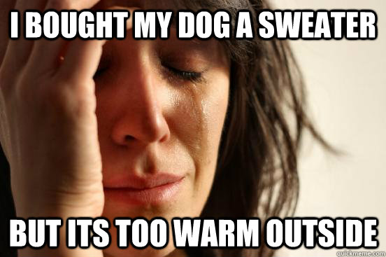 i bought my dog a Sweater  but its too warm outside  