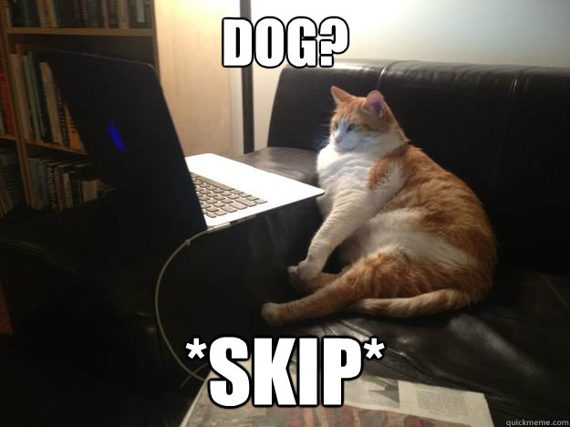 Dog? *skip*  vicarious cat