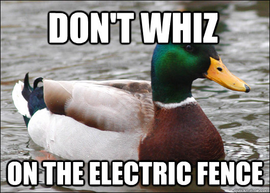 Don't whiz on the electric fence  Actual Advice Mallard