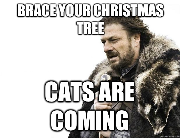 Brace your Christmas tree Cats are coming - Brace your Christmas tree Cats are coming  Misc
