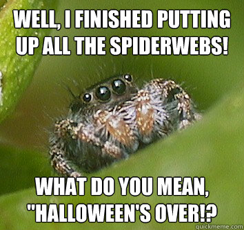 well, I finished putting up all the spiderwebs! What do you mean, 